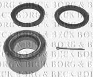Комплект подшипника BORG & BECK BWK118