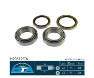 Комплект подшипника BTA H20519BTA
