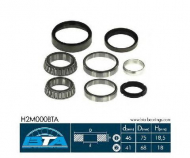 Комплект подшипника BTA H2M000BTA