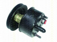 Насос TRISCAN 8515 25605