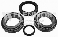 Комплект подшипника FLENNOR FR931540