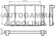 Теплообменник AUTOGAMMA 100394