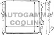 Теплообменник AUTOGAMMA 100886