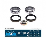 Комплект подшипника BTA H2G035BTA