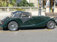 MINELLI TF