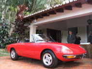 ALFA ROMEO SPIDER (105)