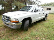 DODGE DAKOTA [USA] Crew Cab Pickup (US)