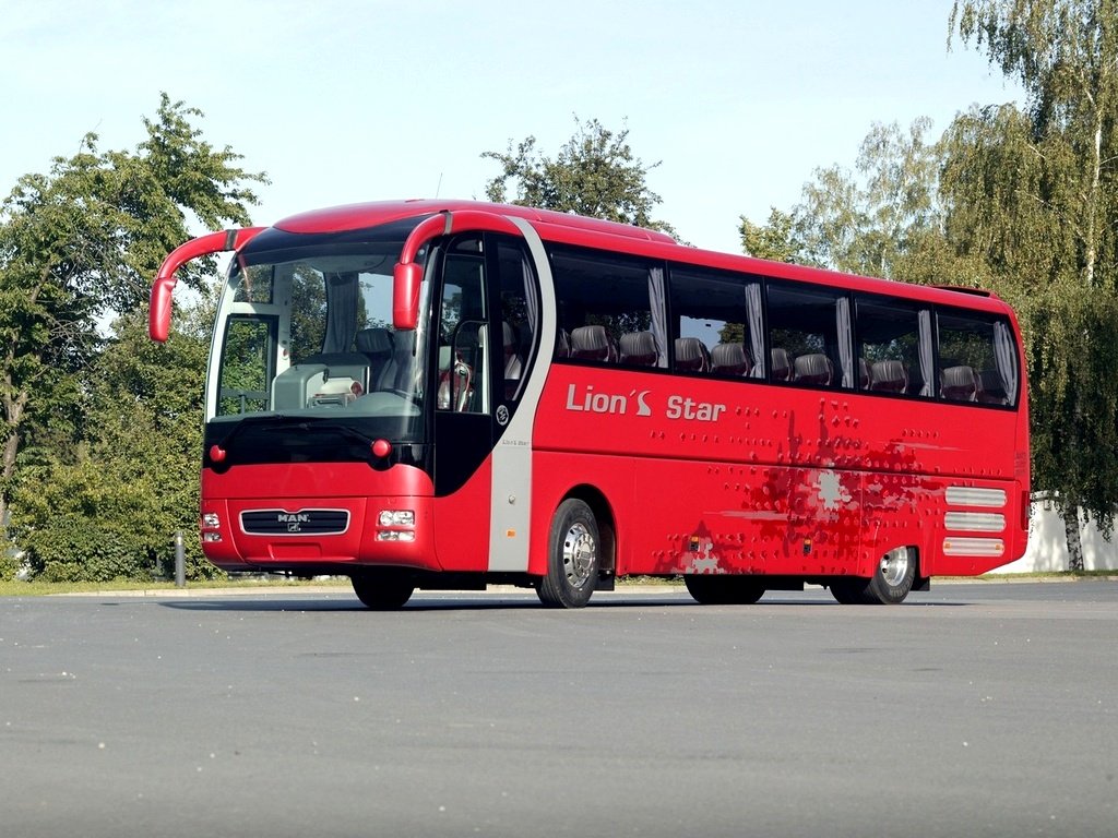 MAN LION S STAR