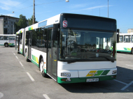 MAN NG