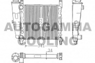 Теплообменник AUTOGAMMA 100312