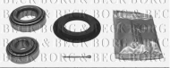 Комплект подшипника BORG & BECK BWK101