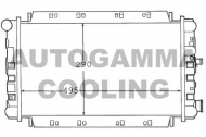Теплообменник AUTOGAMMA 100352