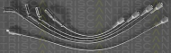 Комплект электропроводки TRISCAN 8860 4118