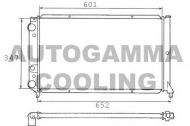 Теплообменник AUTOGAMMA 100300