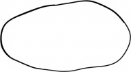 Прокладкa REINZ 71-37693-00