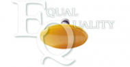 Фонарь EQUAL QUALITY FL0080
